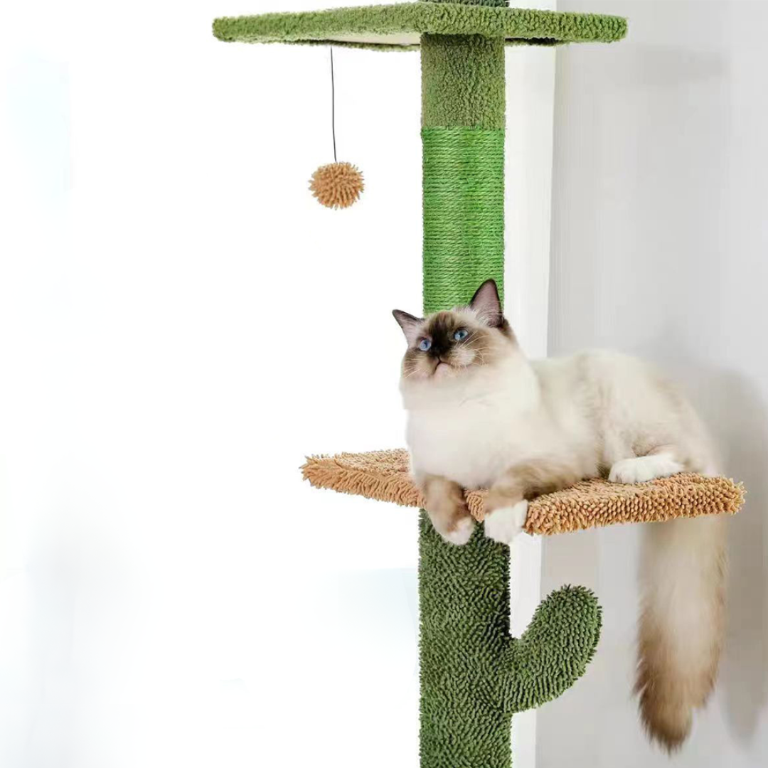 arbre-a-chat-229-275cm
