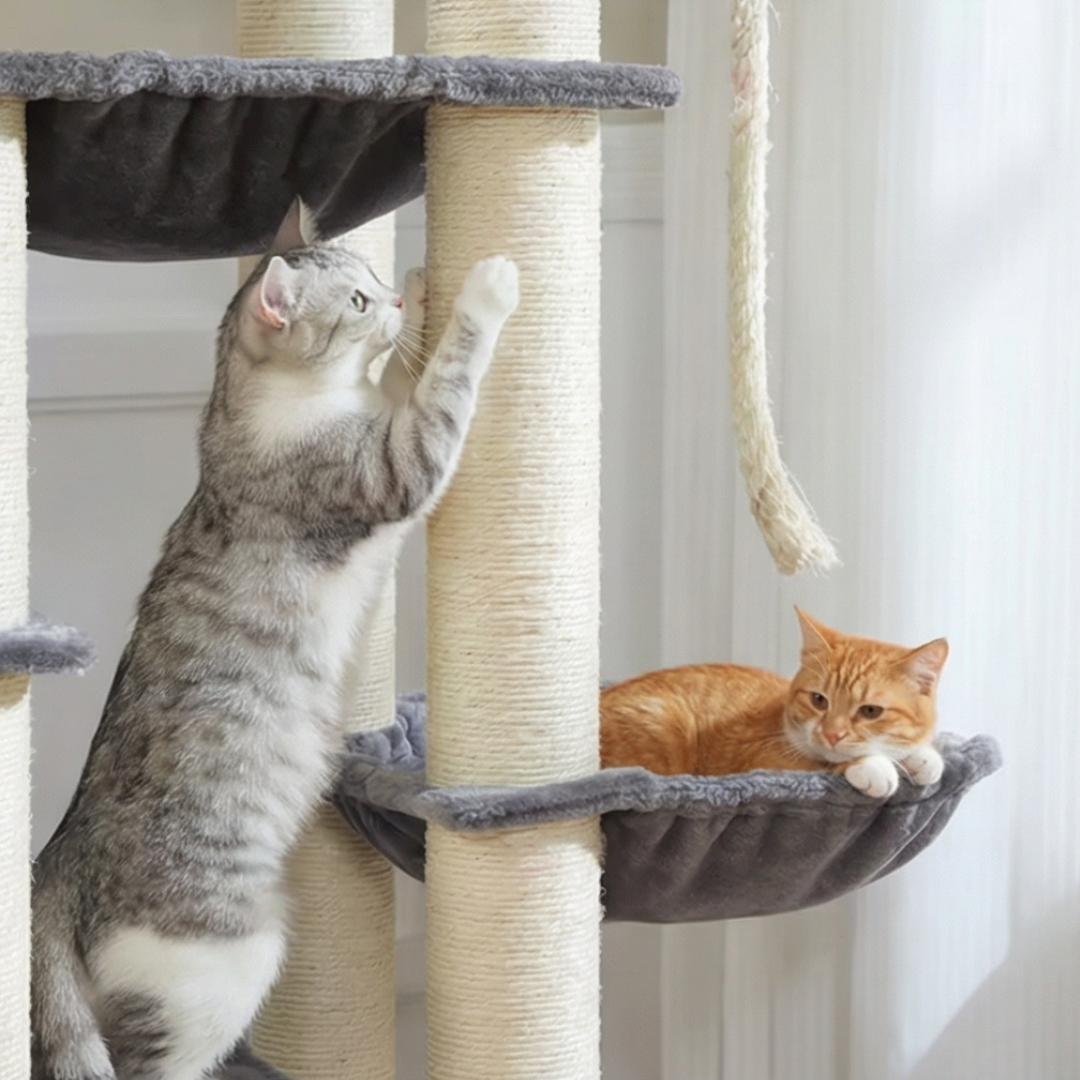 arbre-a-chat-avec-hamac-170cm
