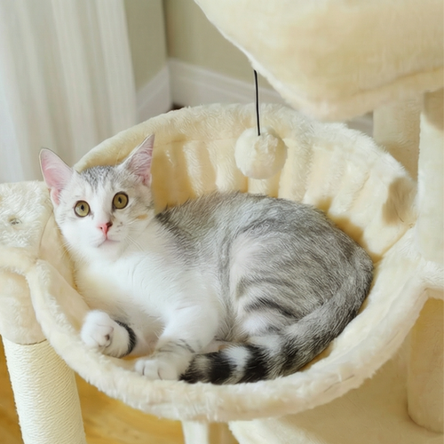 arbre-a-chat-avec-hamac
