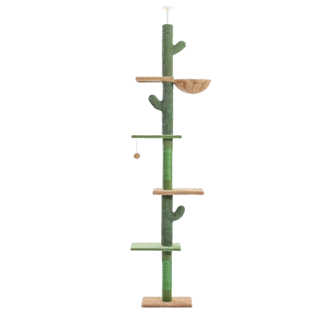 arbre-a-chat-cactus-sol-plafond
