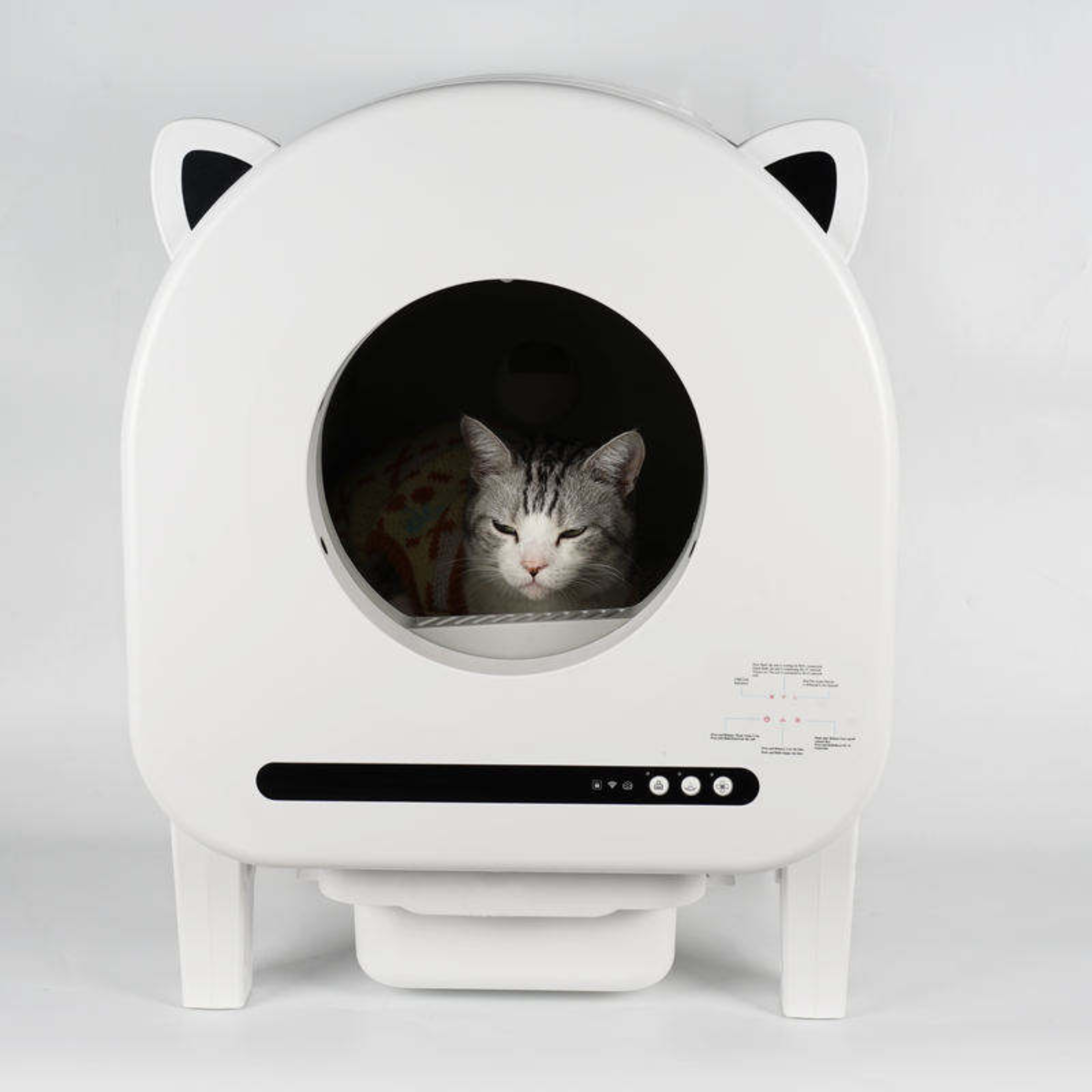 toilette automatique pour chat