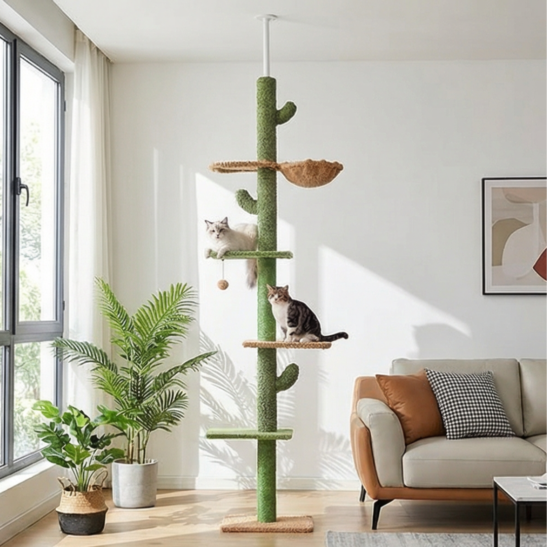 tour-arbre-a-chat-sol-plafond
